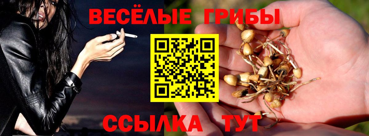 Елабуга  Галлюциногенные грибы MAGIC MUSHROOMS  Вход с VPN 